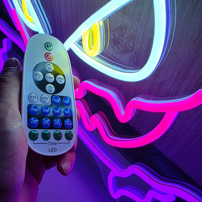 Seltene Pokémon Neon LED Schild – USB & 12V Leuchtschild | Pokémon Sammler Set