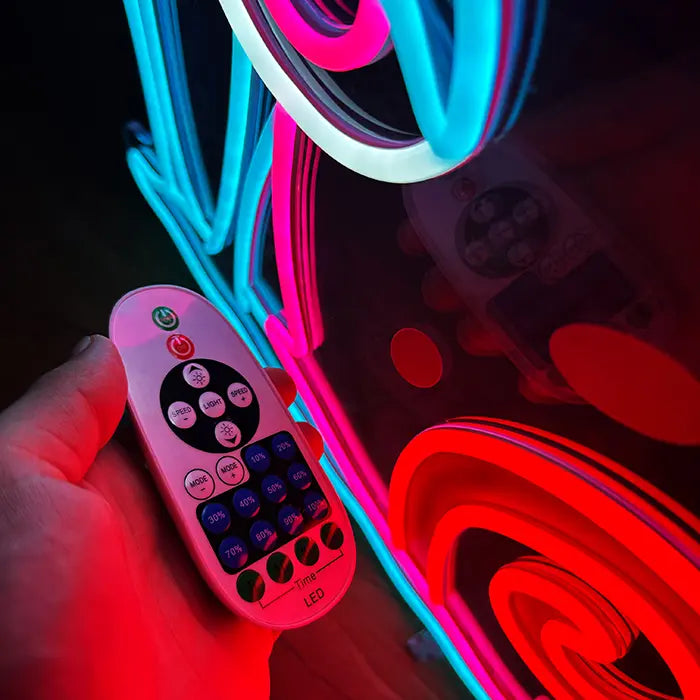 Gary the Snail Neon LED Sign with the remote in hand, buttons for brightness, timer and modes