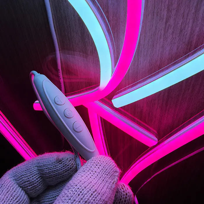 Sexy Boogie Neon LED Sign in close-up with the inline dimmer in hand in front of the neon lines