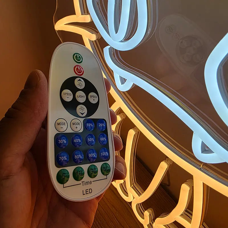 Sagenhafte Pokémon Neon LED Schilder – USB & 12V Leuchtschilder | Pokémon Sammler Set
