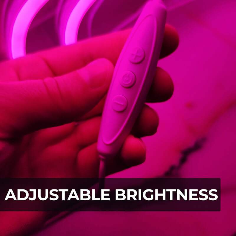 Pinke Krabbe Neon Leuchtschild – Statement für Ferienhaus und Strandvilla
