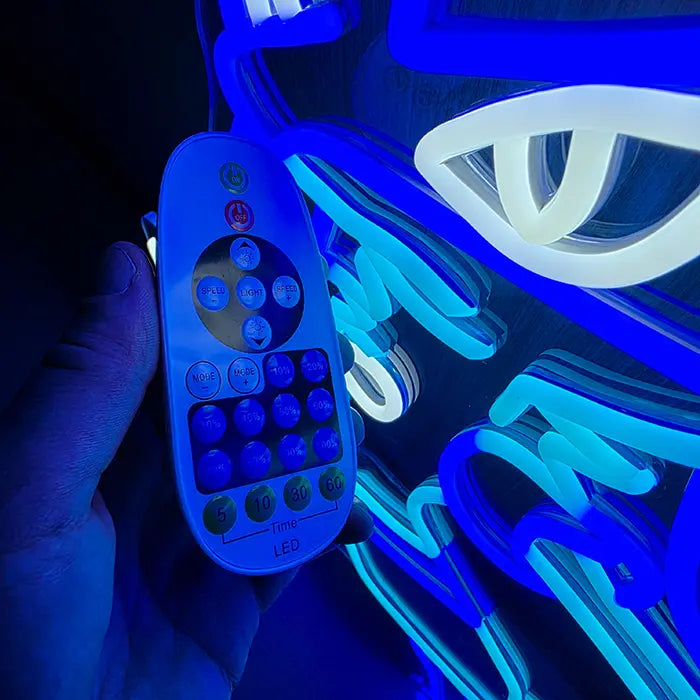 Sagenhafte Pokémon Neon LED Schilder – USB & 12V Leuchtschilder | Pokémon Sammler Set