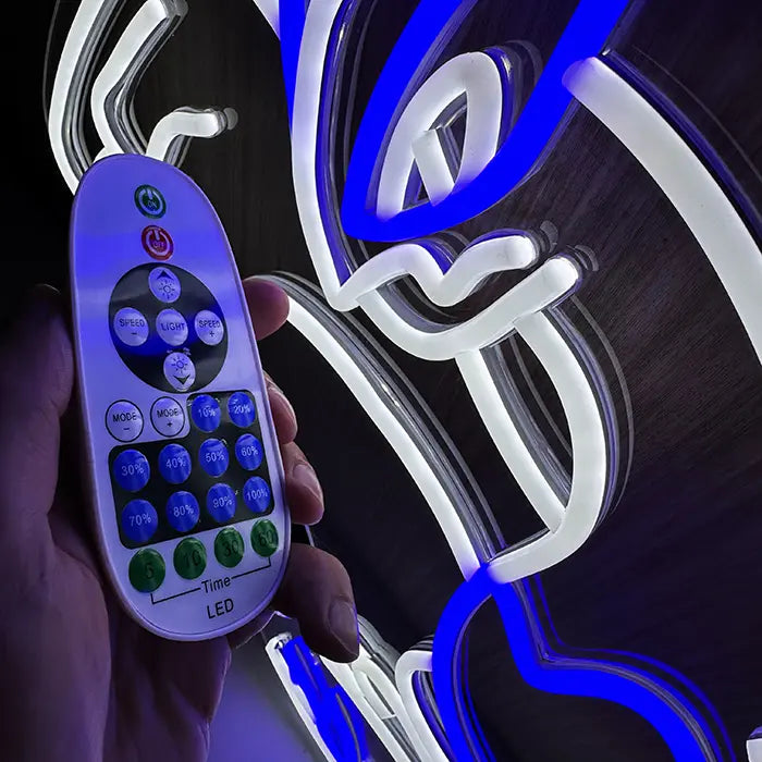 Sagenhafte Pokémon Neon LED Schilder – USB & 12V Leuchtschilder | Pokémon Sammler Set