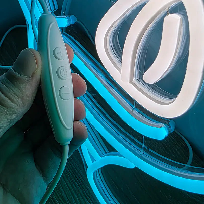 Bisasam LED Schild 6mm Acrylplatte – Pokémon Nachtlicht fürs Gaming-Zimmer