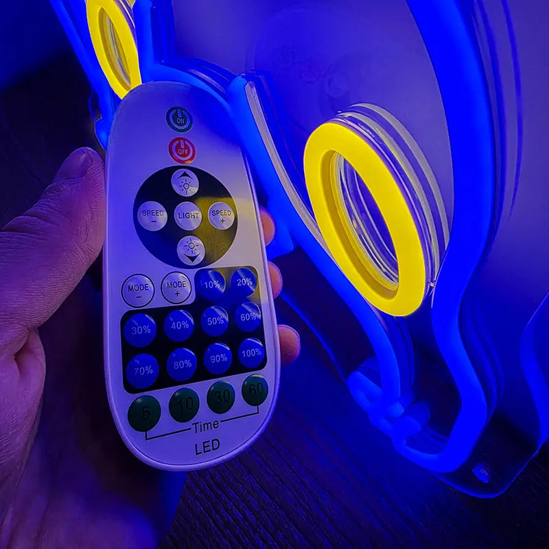 Sagenhafte Pokémon Neon LED Schilder – USB & 12V Leuchtschilder | Pokémon Sammler Set