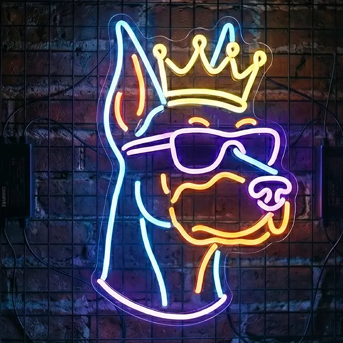 THE KING XL 55 (12V)